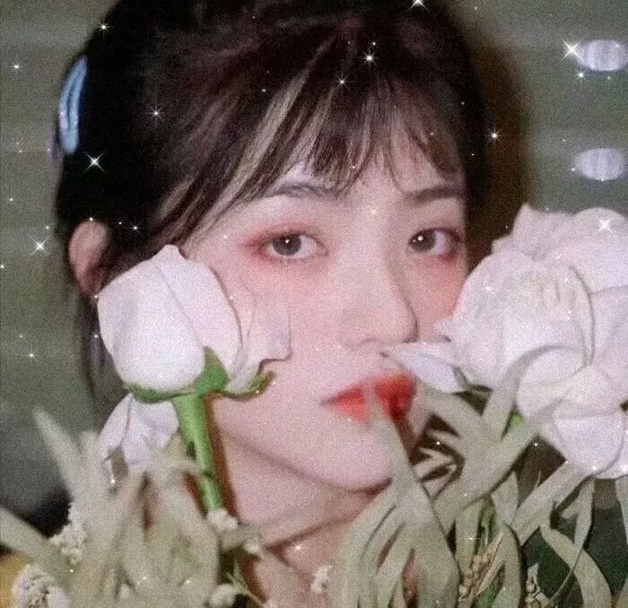 在桃花盛开的地方